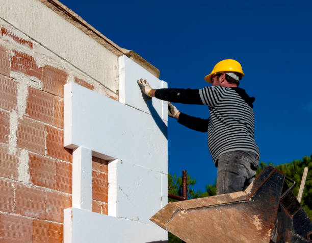 Best Residential Insulation in Rolling Meadows, IL